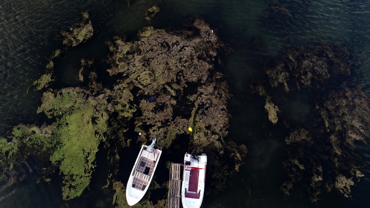Deniz ve ormanların bütünleştiği Kıyıköy, ziyaretçilerini cezbediyor.