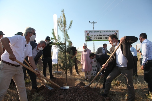 Ahlat'ta şehitler için 1071 fidan dikildi
