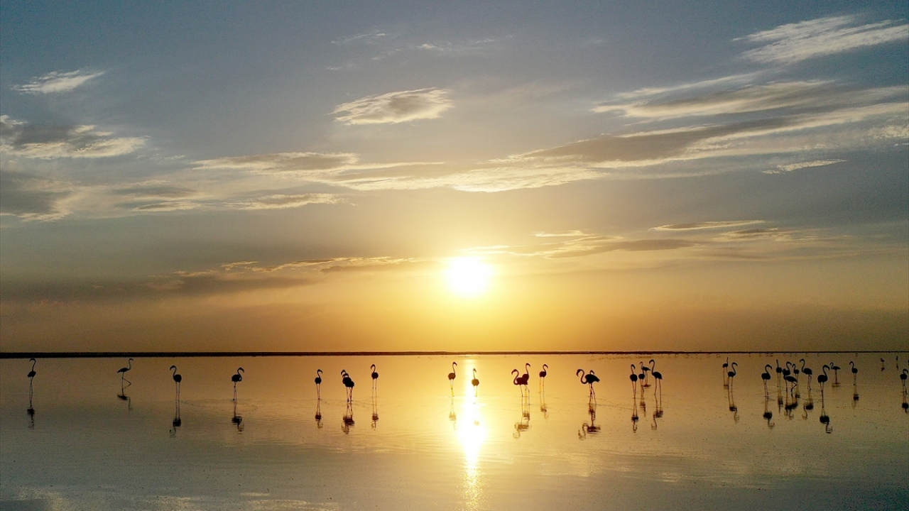 Çevre ve Şehircilik Bakanlığı Tabiat Varlıklarını Koruma Genel Müdürlüğünce yürütülen, Tuz Gölü Özel Çevre Koruma Bölgesi`ndeki flamingo koruma ve izleme çalışmaları devam ediyor.