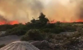 Alaçatı'da makilik alanda yangın