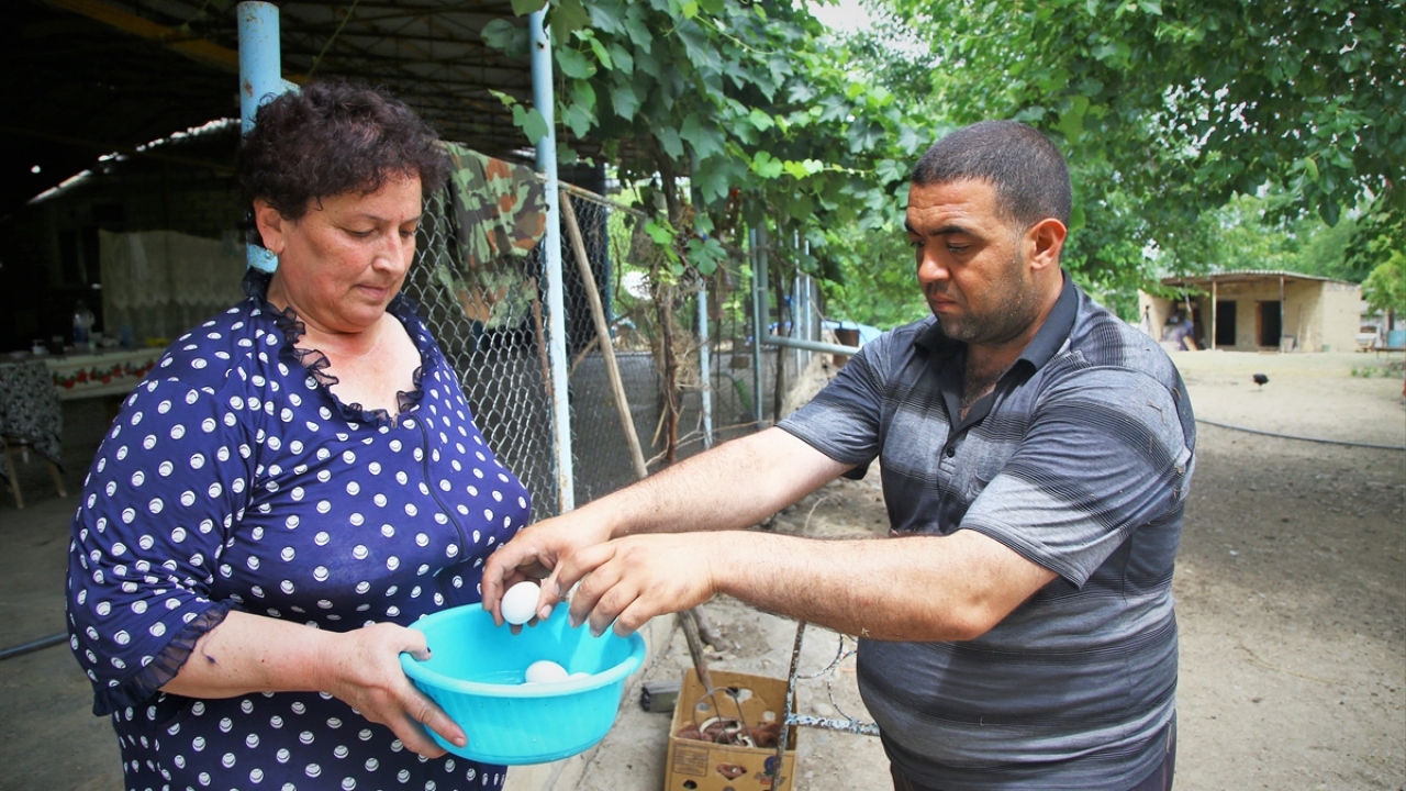 Ağır silahların ateşi Azizovlar ailesini korkutmuyor