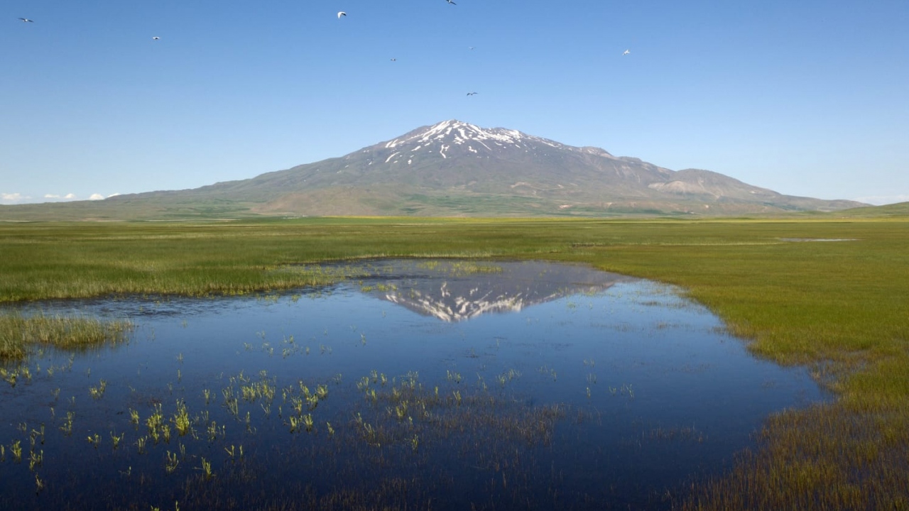 Fotoğraf: Özkan Olcay