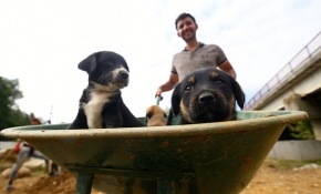 Kazı ekibi '7 cüceler'e bebek gibi bakıyor