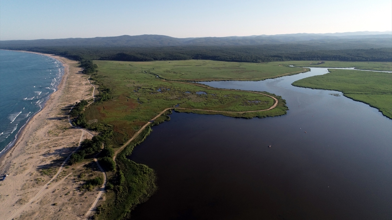 Longozun zengin florasına tanıklık etmek isteyenler Mert Gölü içerisinde kano ile gezinerek doğanın zenginliklerine tanıklık ediyor. 