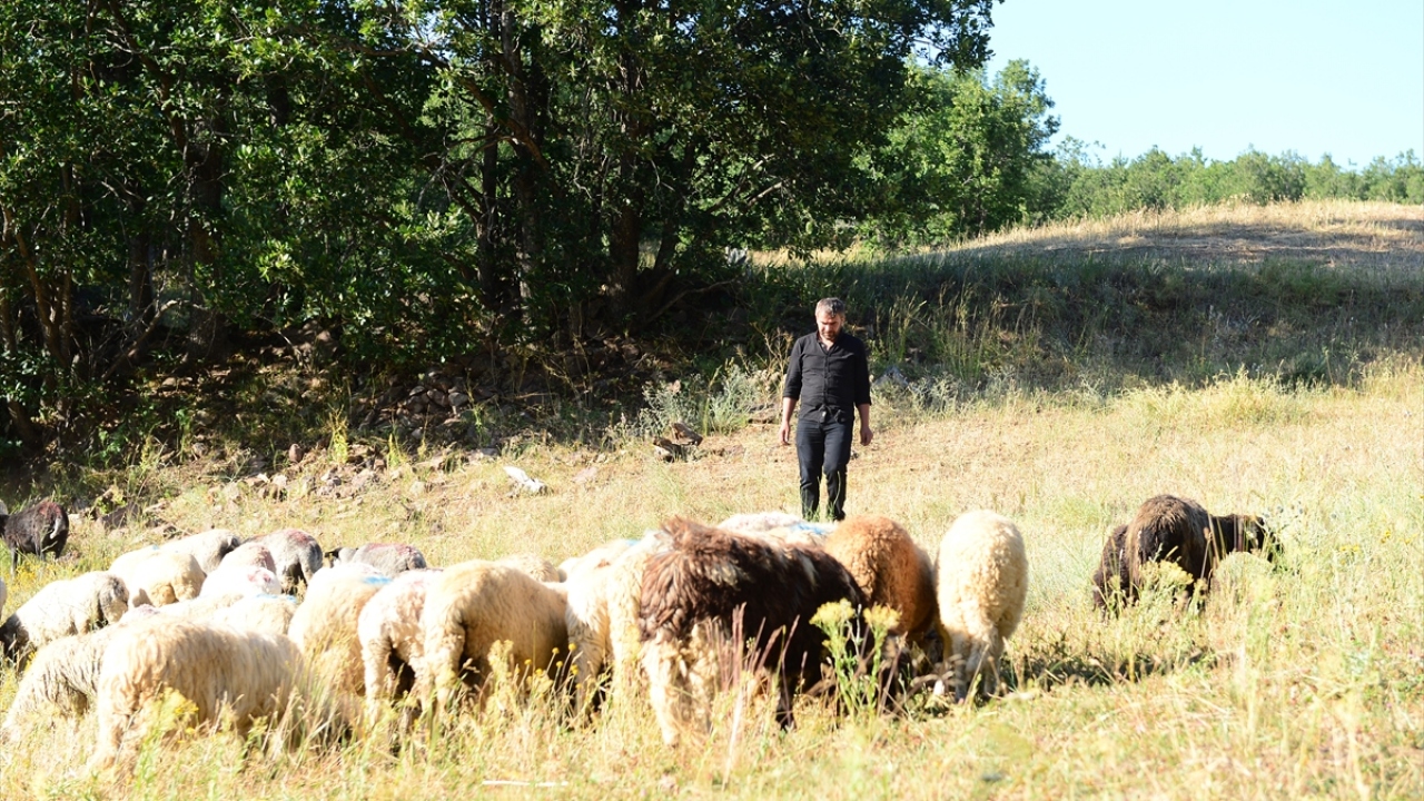 Mücahit Şerbetçi, 23 yıl önce Alucra`dan İstanbul`a giderek 16 yıl boyunca belediyede çalıştığını söyledi.
