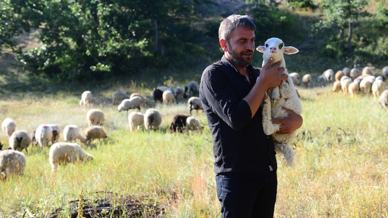 İstanbul`un kalabalığı ve yoğunluğundan sıkılarak köyüne dönüp hayvancılık yapmaya karar verdiğini anlatan Şerbetçi, hem de memleketinde boş duran arazileri değerlendirmeyi amaçladığını kaydetti.