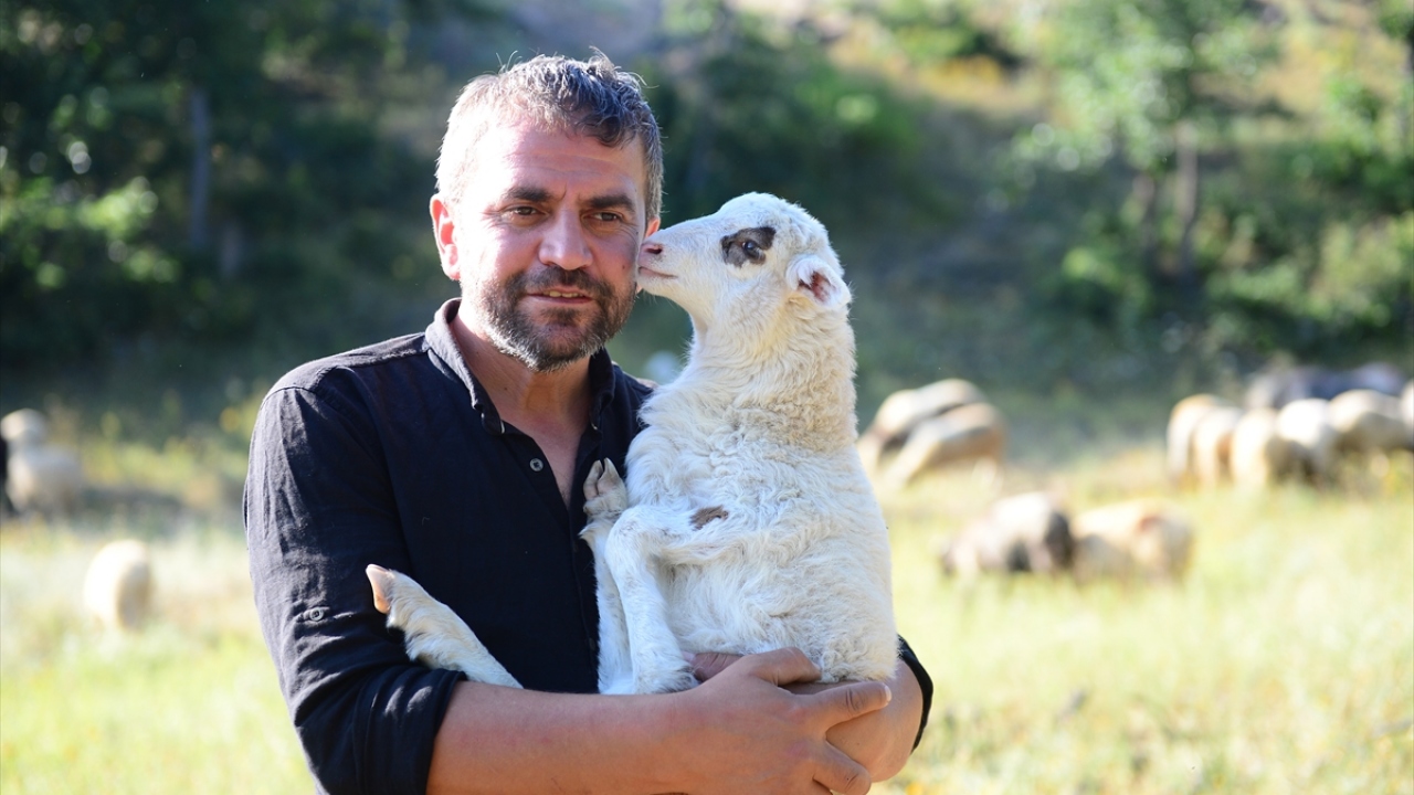 Şerbetçi, yaklaşık iki yıl fizibilite çalışması yaptığını belirterek "Devletin vermiş olduğu imkanları araştırdım, üretimle ilgili ciddi teşvikleri okuyordum, duyuyordum. Daha sonra bu işi yapabileceğime karar verdim." dedi.