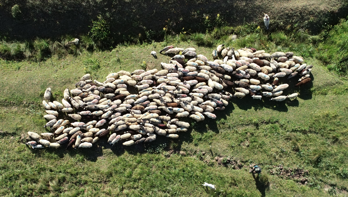 Belediyedeki 16 yıllık hizmet süresini sonlandırıp istifa ederek memleketine yerleştiğini söyleyen Şerbetçi, şöyle devam etti: