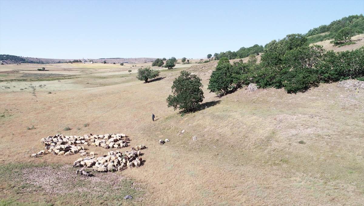 Mücahit Şerbetçi, işinin planladığından çok daha iyi gittiğini ifade ederek belediyedeki kazancını yıllık ortalama gelir bazında 4-5 kat artırdığını vurguladı.