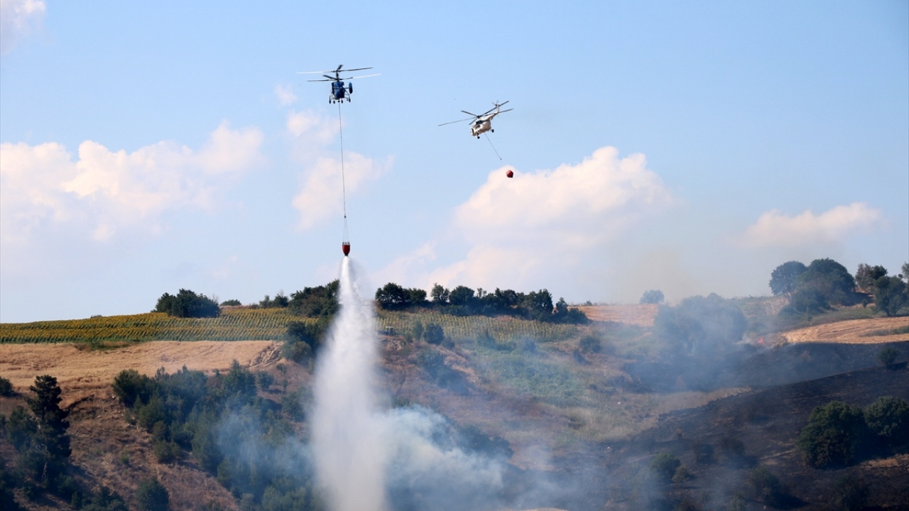 Köyde bir tarım arazisinde henüz belirlenemeyen nedenle çıkan yangın, rüzgarın da etkisiyle ormana sıçradı.