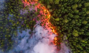 Sibirya'da 28 bin hektarlık alan küle döndü