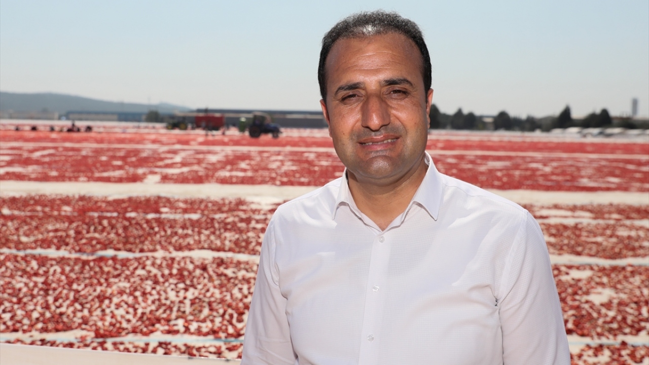 Torbalı Ticaret Odası Başkanı Abdulvahap Olgun, ilçenin domates kurutma sektöründe merkez konumda olduğunu söyledi. 
