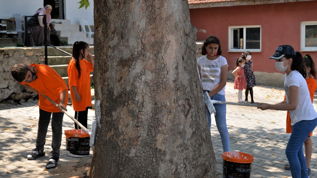 Köyde faaliyet gösteren Baştacı Kadınlar Derneği Başkan Yardımcısı Selcan Kopukaya, yaptığı açıklamada, küçüklüğünde bu ağaçları salıncak olarak kullandığını söyledi.