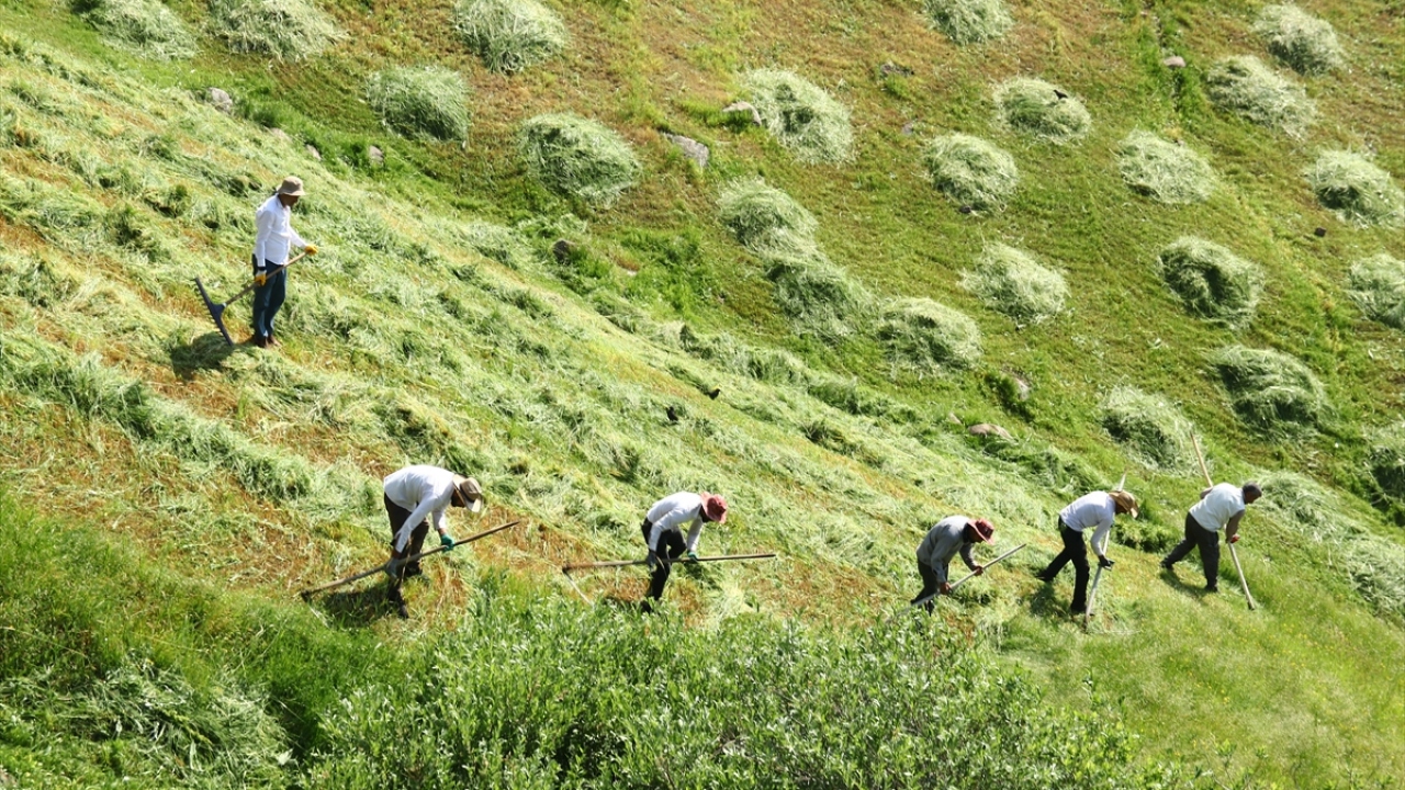 İlçe merkezine 30 kilometre mesafedeki Kızılören köyünün Çakıl mezrasında geçimini hayvancılıkla sağlayan çiftçiler, tarım araçlarının giremediği engebeli arazilerdeki otları imece usulüyle biçiyor.
