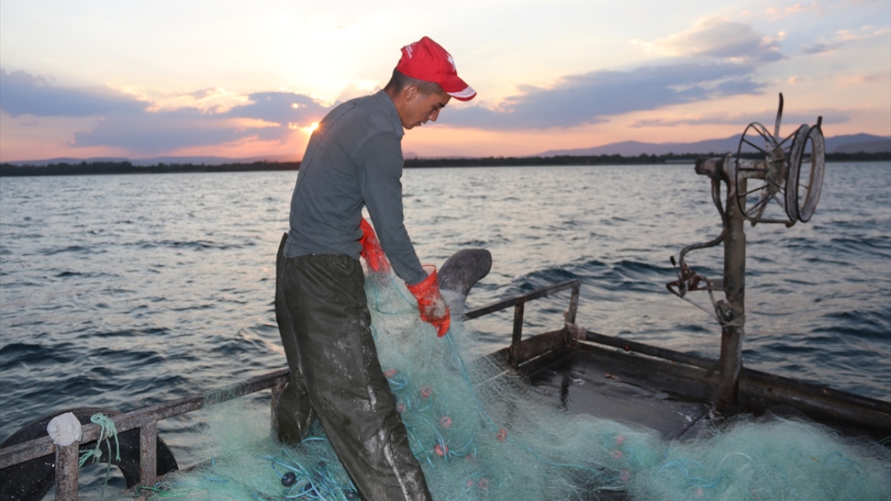 Her yıl 15 Nisan-15 Temmuz tarihlerinde Türkiye`nin en büyük gölünden suyun tersine yüzerek yumurtalarını tatlı sulara bırakan balıkların nesillerini sürdürmek için verdiği mücadele, koruma önlemlerinin de katkısıyla amacına ulaştı.