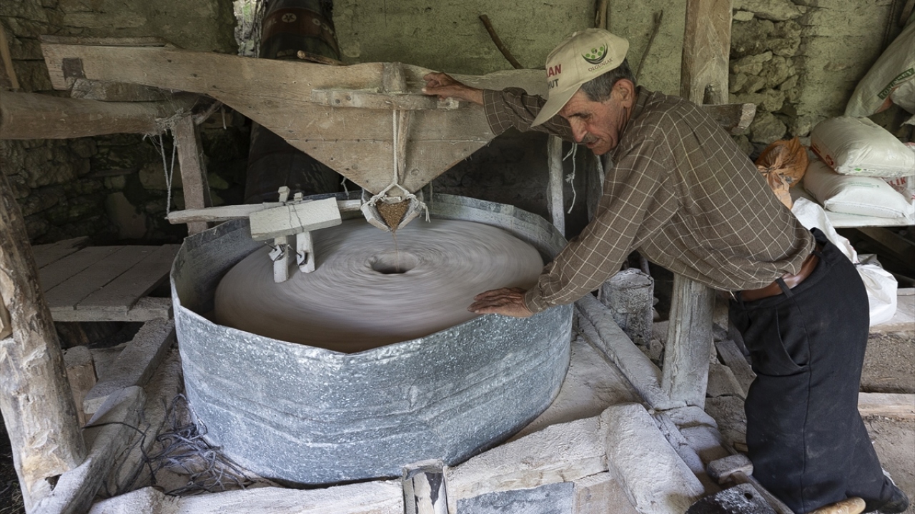 Bahattin Usta, değirmeni her çalıştırdığında yaklaşık bir kilometrelik su kanalının bulunduğu dağlık alanı sürekli kontrol ediyor, değirmene giden suyun akımını güçlendirmek için su kanalının etrafında oluşan kaçakları kapatıyor.