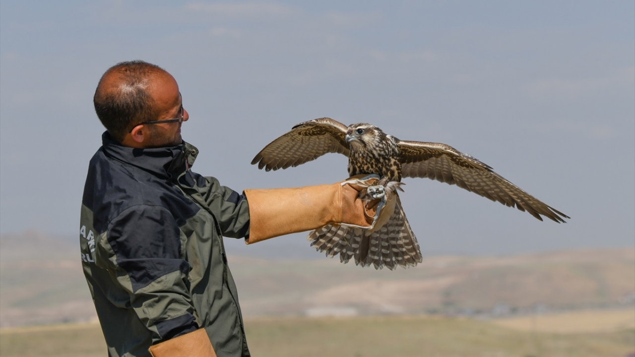 Programın ardından, yaralı kuşları merkeze getiren bazı vatandaşlara teşekkür belgesi verildi.