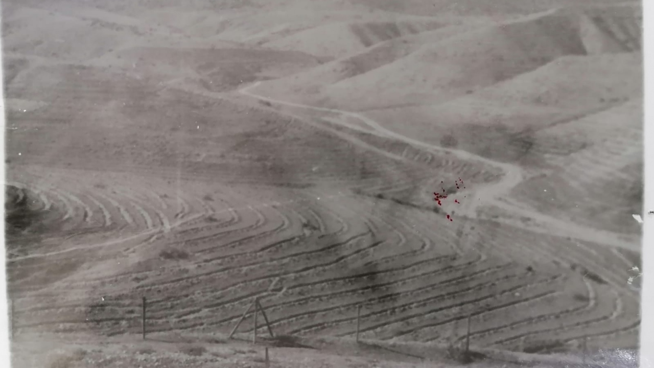 5 yıl süren çalışma ile bölgeye 799 bin kızılçam fidanı dikilerek bakımı yapıldı. 