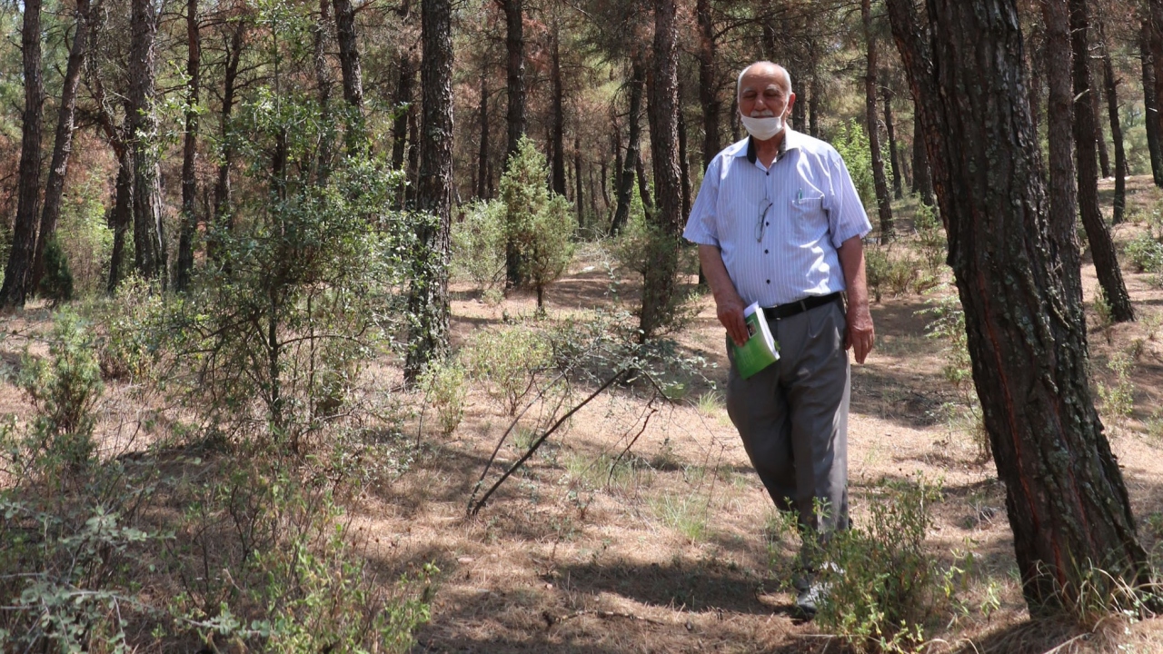 Bölgedeki Akyörük, Gazidere, Alibeyli ve Karacaören köylerinde yaşayan vatandaşlar da ormana gözü gibi bakıyor.