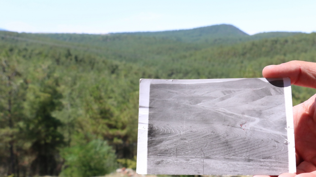 Boyabat ilçesi Akyörük köyü Azak Deresi mevkiindeki 3 bin 590 dekar çorak arazi için 1980 yılında Orman Genel Müdürlüğü`nce planlı ağaçlandırma çalışması başlatıldı.