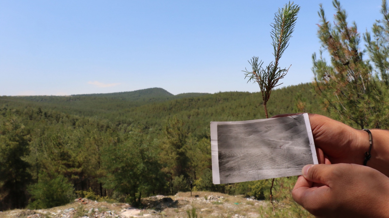 "Gözümüz gibi bakıyoruz"