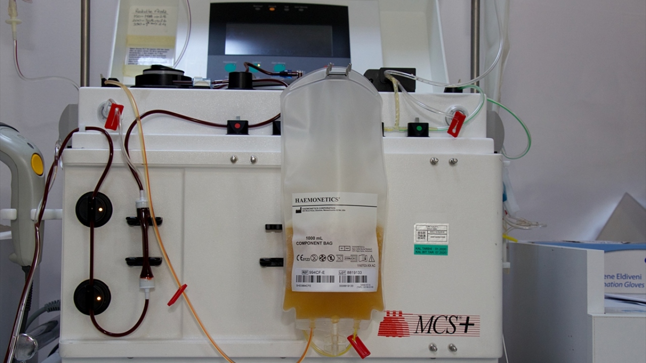 Boğa, diğer Covid-19 hastalarına umut olması için immün plazma bağışında bulundu.