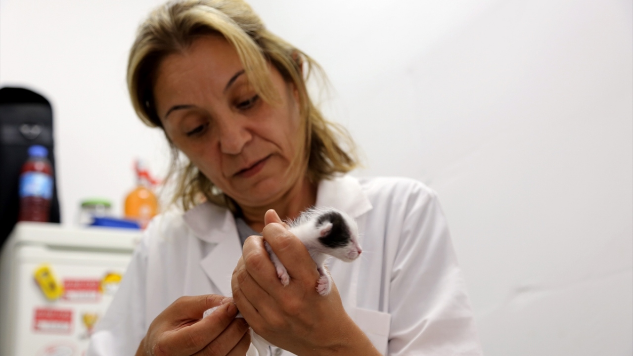 Orhaniye Mahallesi`nde işitme cihazı firması sahibi olan 41 yaşındaki Şebnem Ateş, iş yerinin karşısındaki çöp konteynerinden ses geldiğini fark etti.