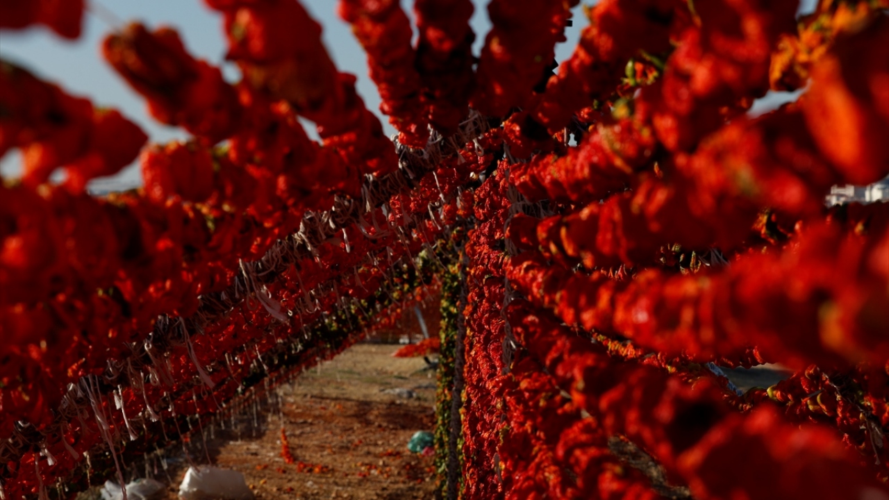 Türk Patent ve Marka Kurumundan coğrafi işaret tescilli kurutmalıklar, özellikle kışın mutfakların vazgeçilmezleri arasında yer alıyor.
