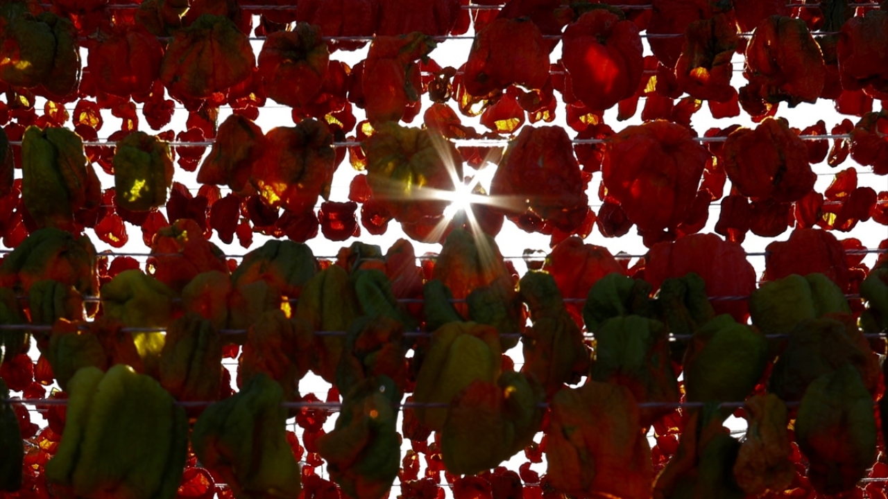 İşçilerden Yasin Eken, küçük yaşlardan beri bu işle uğraştığını ve güneşin kavurucu sıcaklığında çalışmanın oldukça zor olduğunu söyledi.