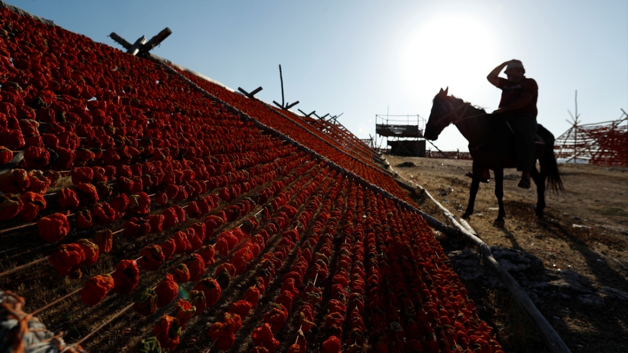 "Sofralarımıza zenginlik katsın diye bizler güneş altında emek veriyoruz"