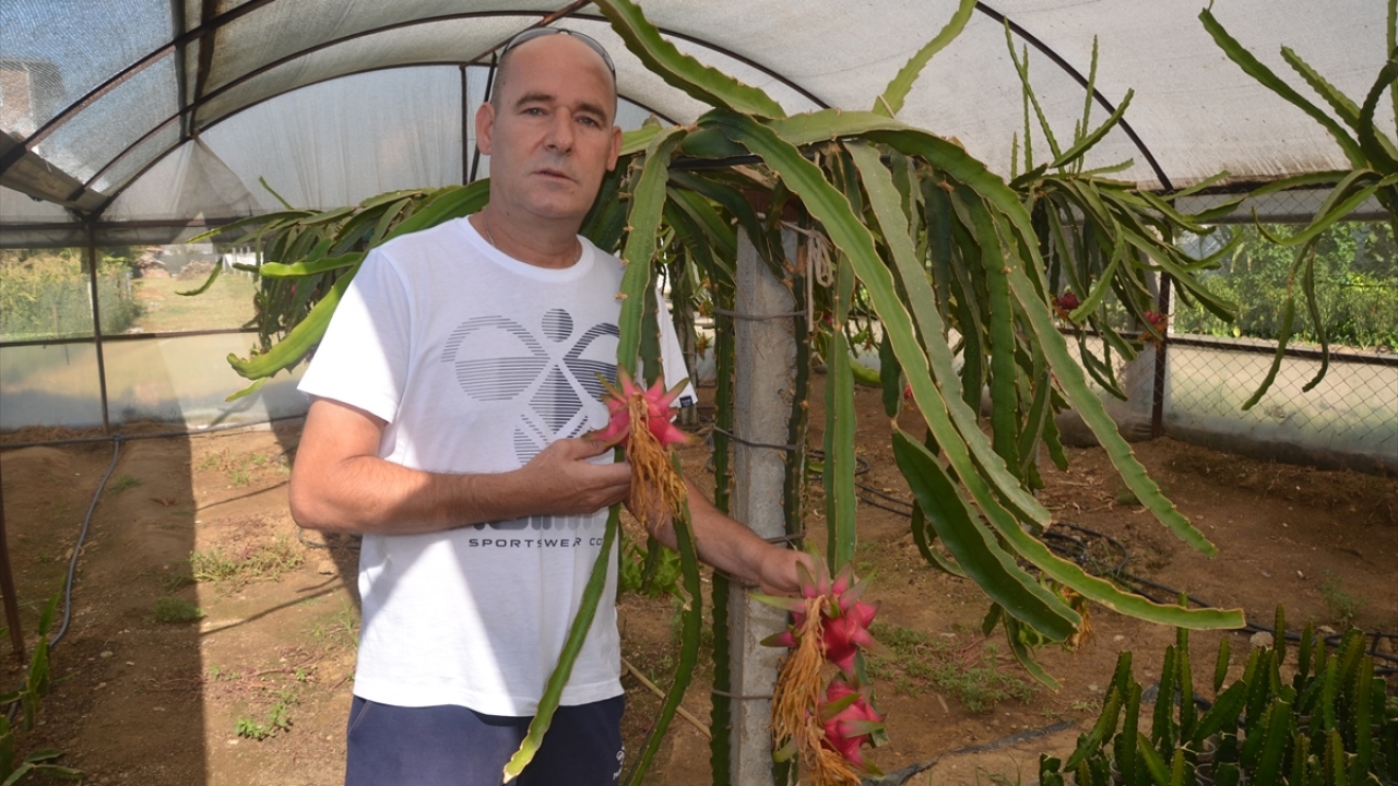 Gazetecilere açıklama yapan Yorbik, bu yıl yaklaşık 7 bin ürün almayı hedeflediğini söyledi.