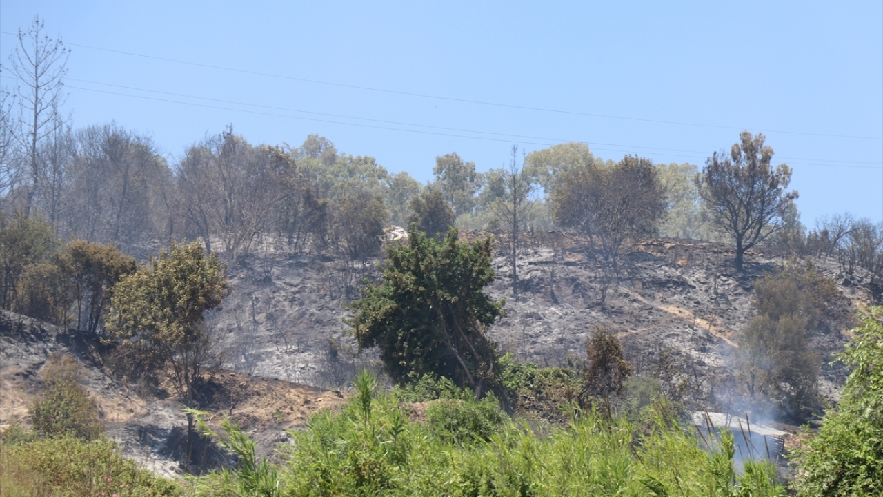 Kırsala alanda başlayan yangın rüzgarın etkisiyle kısa sürede yayıldı. 