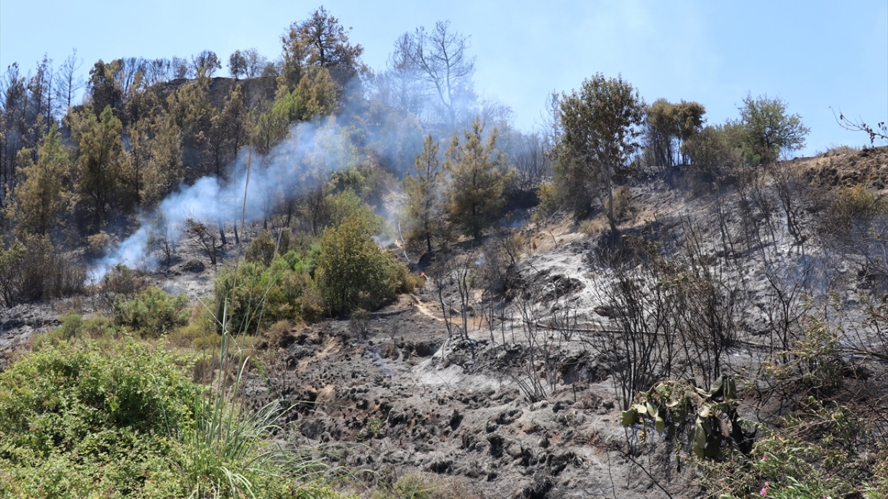 Ekiplerin yoğun çalışması sonucu kontrol altına alınan ve soğutma çalışması yapılan yangında 1,5 hektar ormanlık alan zarar gördü.