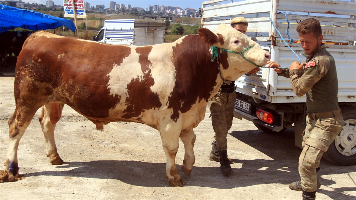 Şahin, 25 bin liradan satışa sunduğu boğasını pazarlık sonucu 22 bin 500 liraya sattı.
