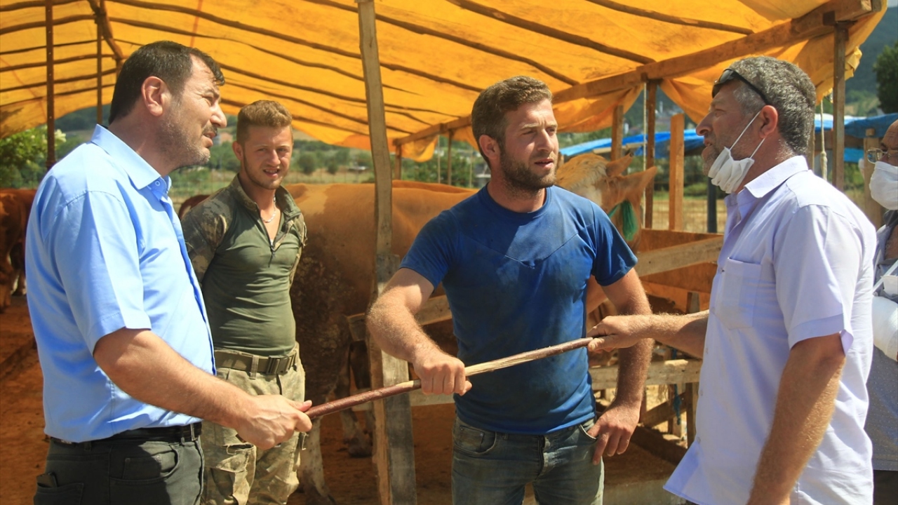 Şahin, boğasının pazarın en büyük kurbanlığı olduğunu söyledi.