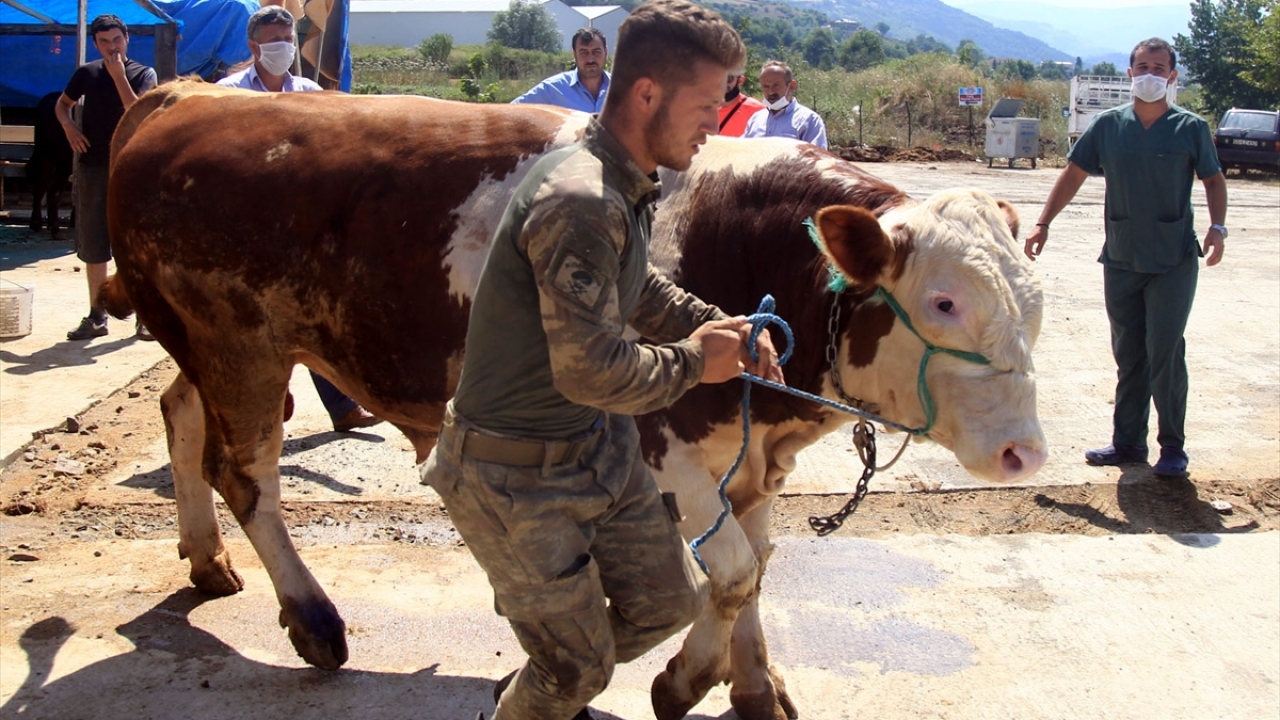 Öte yandan yeni tip koronavirüs (Covid-19) salgını nedeniyle Canik Belediyesi zabıta ekipleri, kurban pazarına maskesiz girişe izin vermiyor.