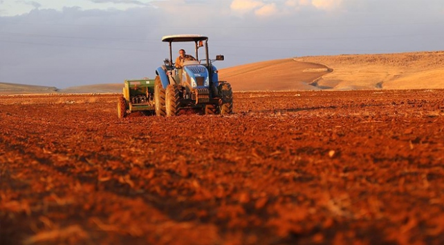 Üreticilere 6 bin 100 ton tohum dağıtıldı