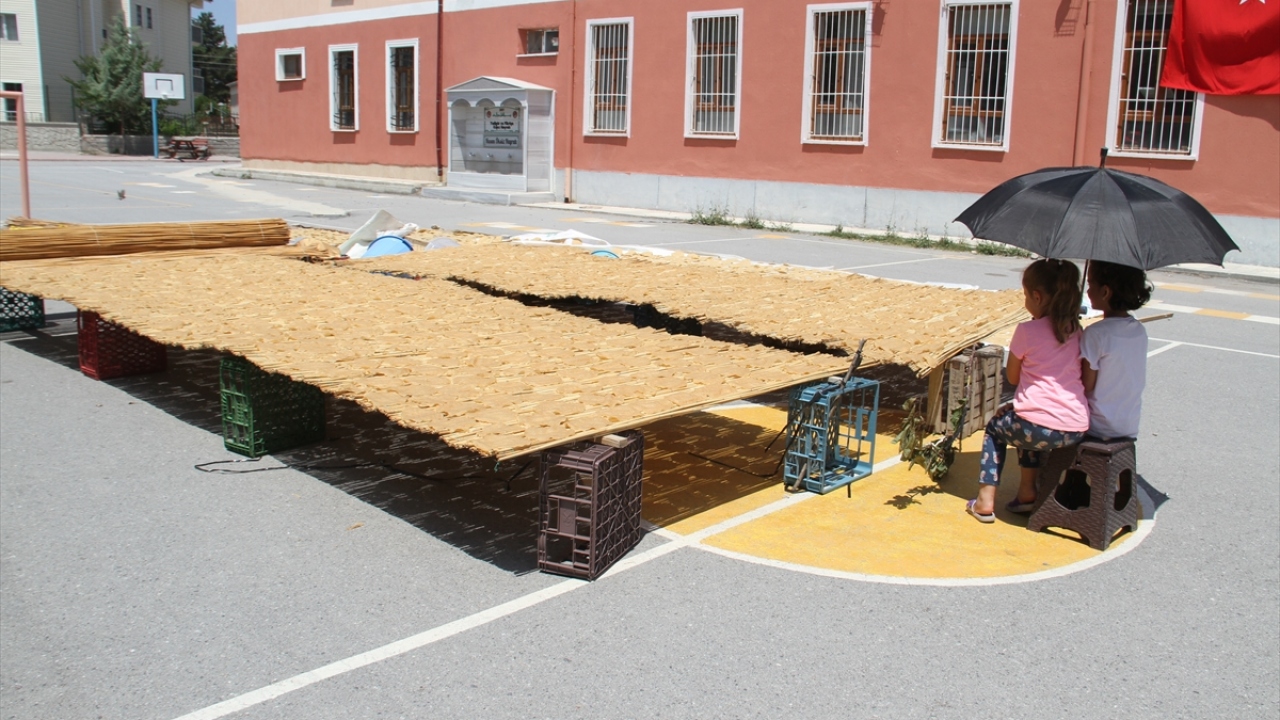 Öztemir, tarhana yaparken hava durumunu da takip ettiklerini ifade ederek tarhanayı güneşe serdikten sonra da işlerinin bitmediğini belirterek komşuların sokak hayvanları ve kuşların ürüne gelmemesi için sırayla nöbet tuttuklarını söyledi.