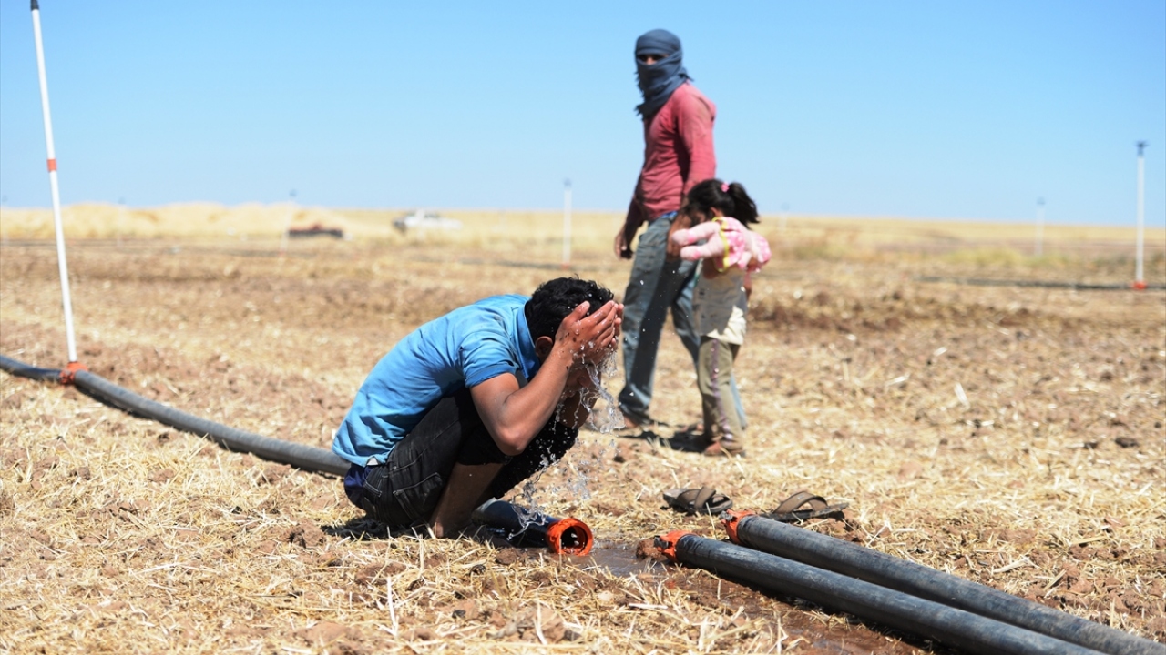 Tarlada çalışan çiftçiler serinlemek için sık sık yüzlerini yıkıyor.