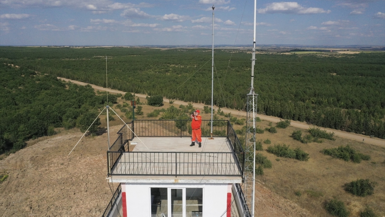 İbreli (iğne yapraklı) ormanların yangınlara karşı daha hassas olduğunu belirten Ceylan, mayısta başlayan yangın sezonu öncesi gerekli tedbirleri aldıklarını ifade etti.