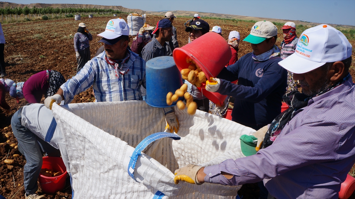 Kıyas, daha önce köydeki tarım işçilerinin çalışmak için başka illere gittiğini ifade ederek, şöyle devam etti: