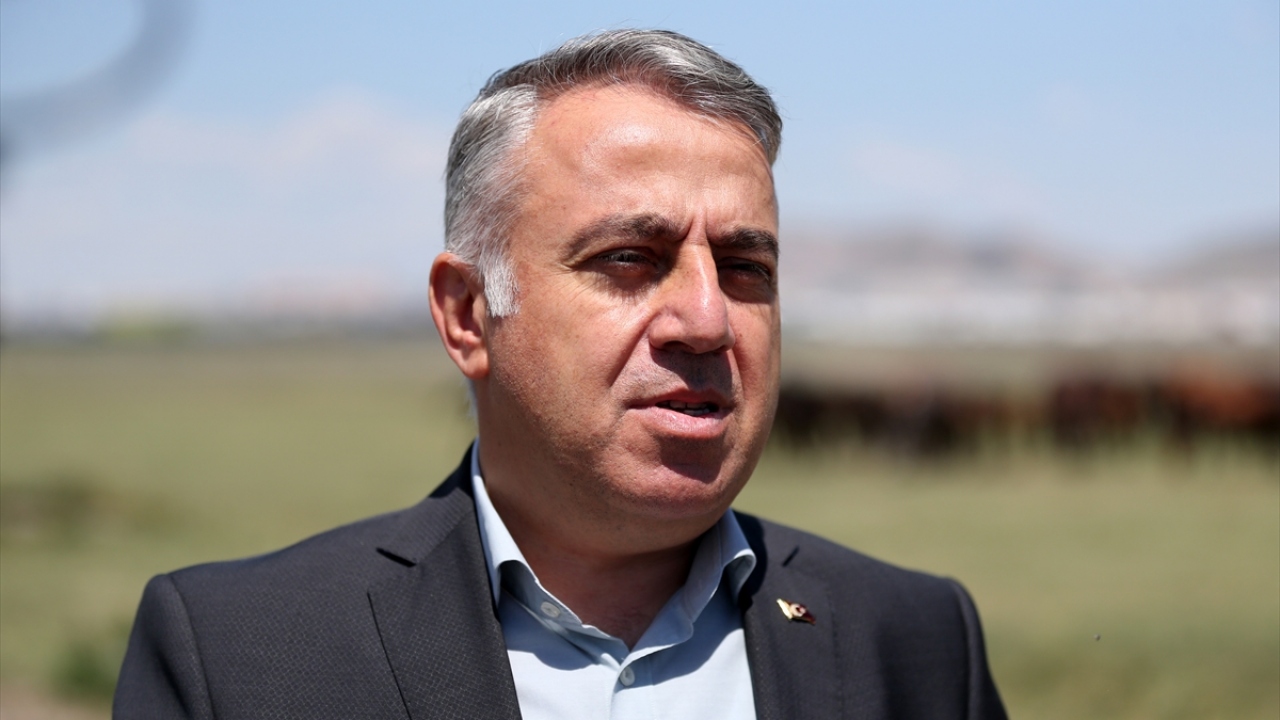 Tek tırnaklılar mikroçip sayesinde korunacak