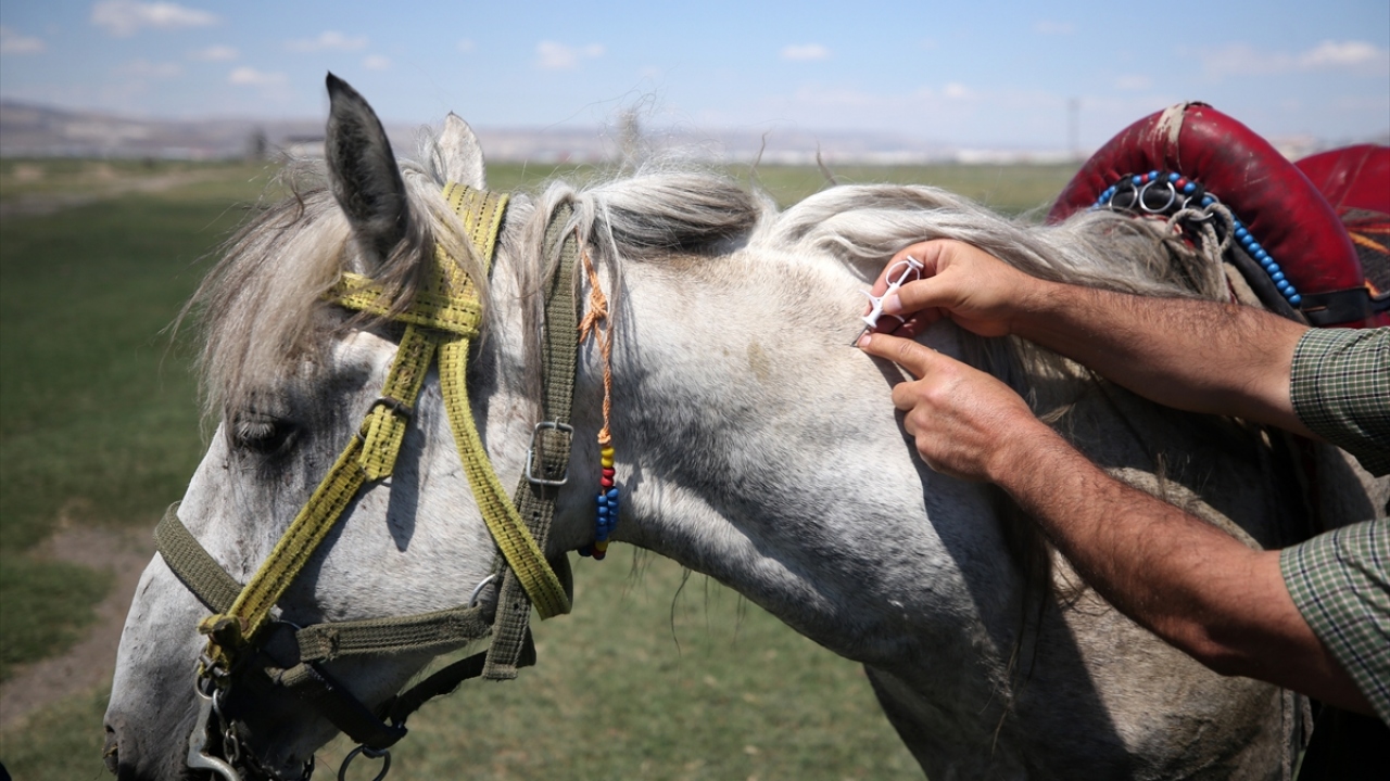 Kayseri`de tek tırnaklıların mikroçiple kimliklendirmesinde oldukça aşama kaydedildiğini aktaran Şahin, şöyle konuştu: