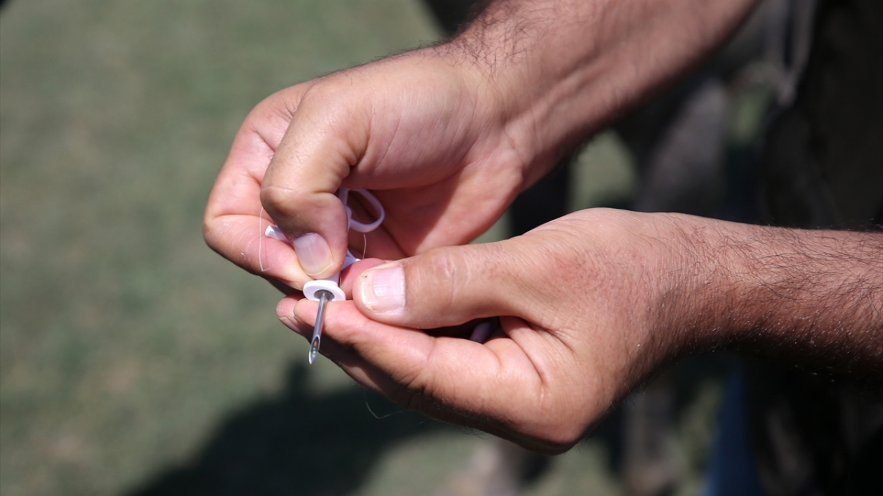 Kayseri`de Organize Sanayi Bölgesi`nin arkasında, sulak alanda yayılan atların turizm potansiyeli yönünden önemine dikkati çeken Şahin, şöyle devam etti: