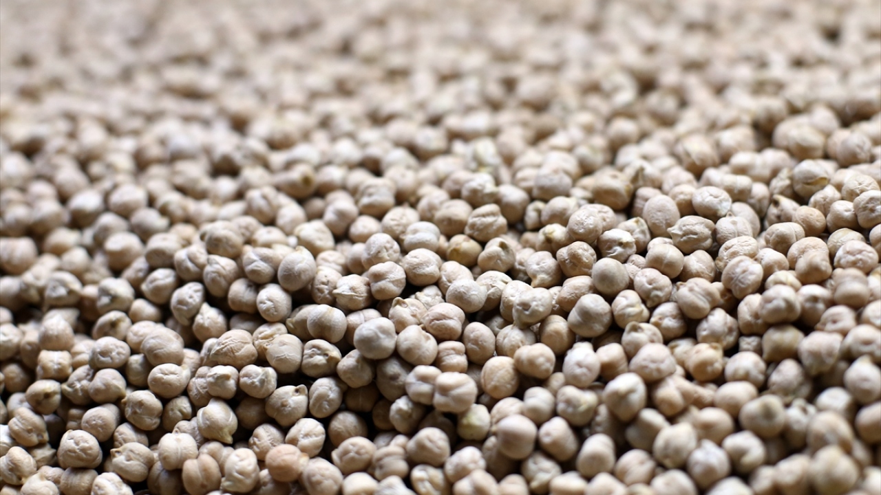 2 dakikada sağlıklı besinler 