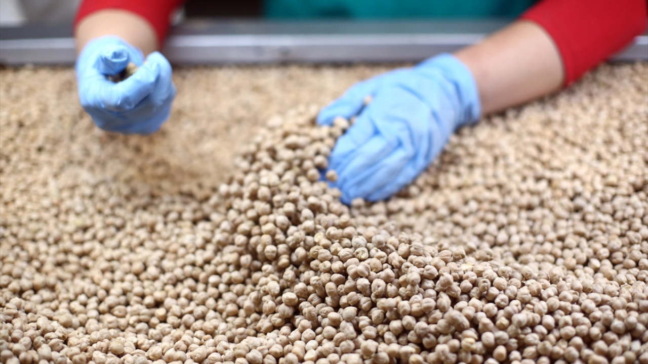 Yayla Agro Yönetim Kurulu Başkanı Gümüş, kısa vakitlerinde sağlıklı gıda tüketmek isteyen kişiler için çalışma yaptıklarını belirterek, şöyle devam etti: 