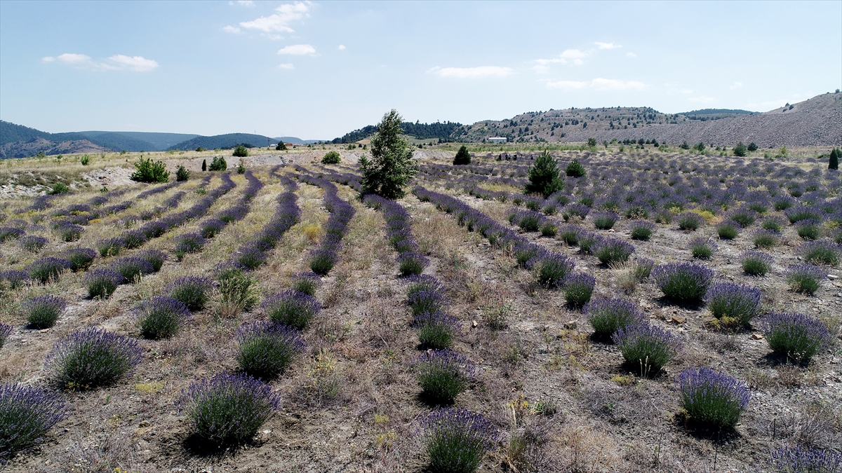 Orman Bölge Müdürü Hasan Keskin, Kütahya`nın hem yer üstü hem de yer altı zenginliklere sahip bir il olduğunu söyledi.