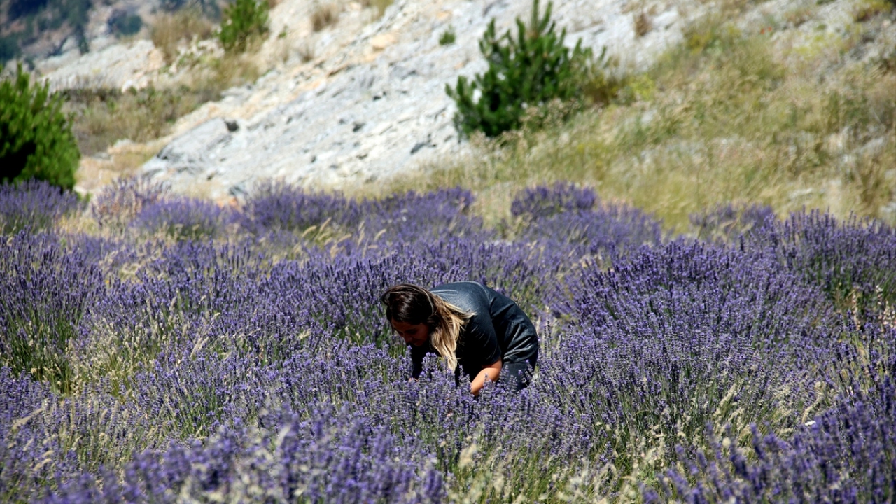 Proje yaygınlaştırılacak