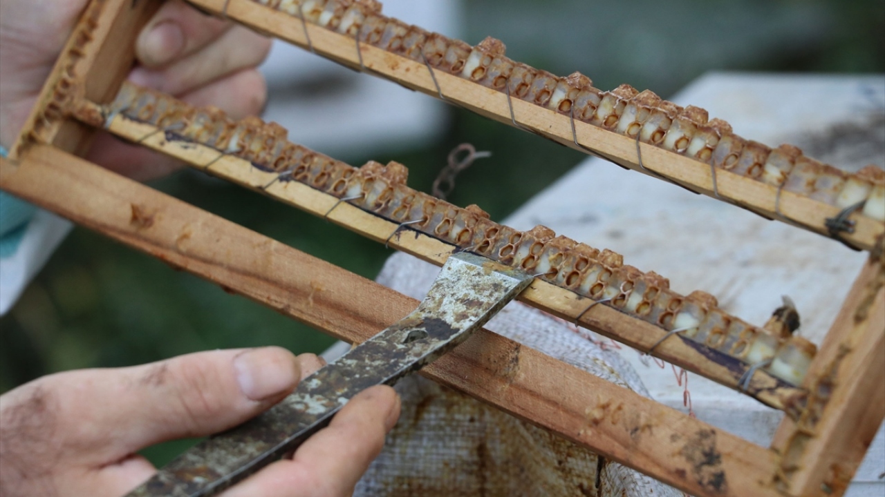 "Eşim bu işi yapmamda en büyük destekçim"