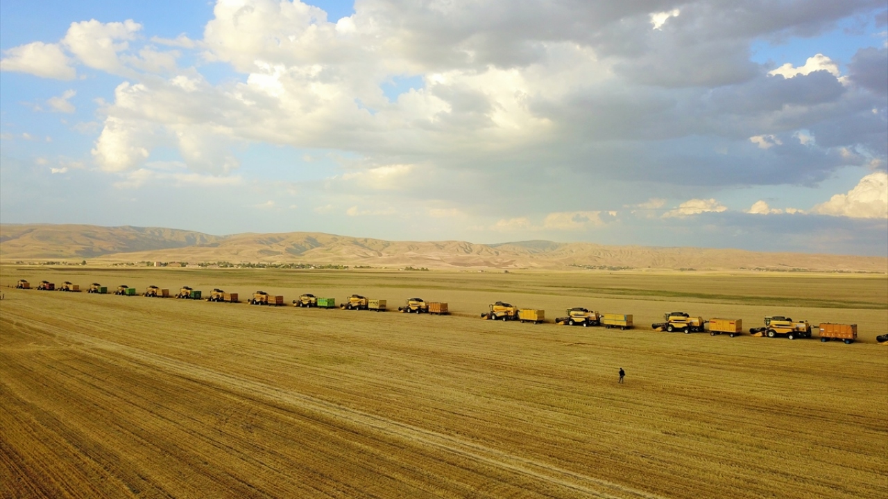 Yıldız Alparslan Tarım İşletmesi İşletme Müdürü Recep Mergen, gazetecilere, 2 bin 50 dekar alanda arpa ve 35 bin 650 dekar alanda da buğday ekimi yaptıklarını söyledi.